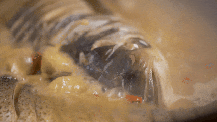 冰雪与热血交织！大庆冬日5大宝藏玩法，照着玩就对了！