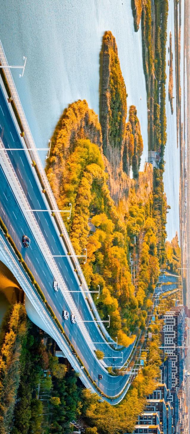 生态城的秋天，已经美得不像样了