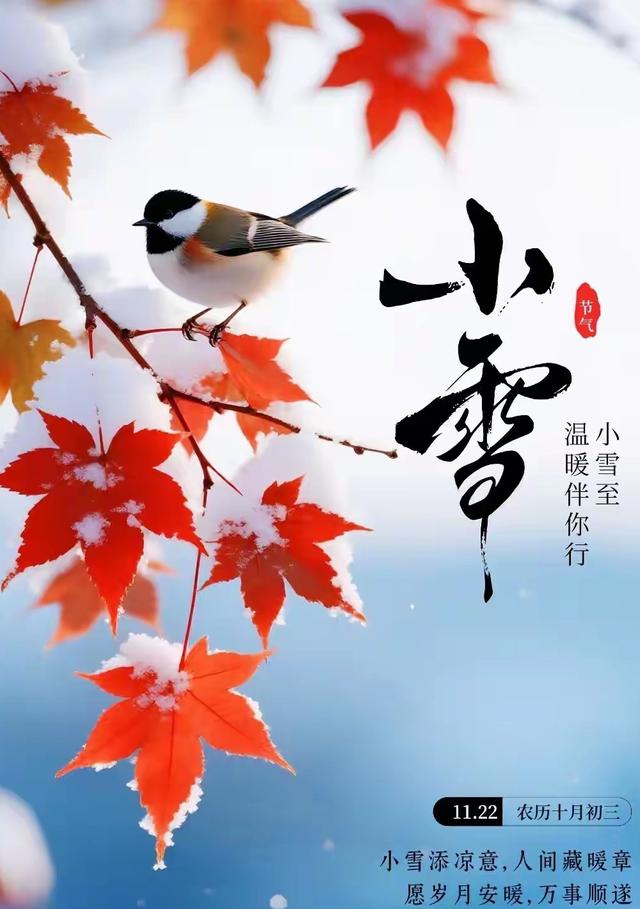 小雪，美景怡人