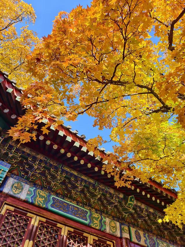 北京的秋是七彩的