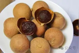 桂圆的5个食疗方法，小搭配大作用，赶走身体小毛病，建议了解一下图片