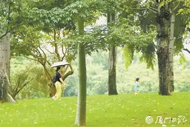 鹭岛今起三天有阵雨，大后天将开启“晴热+高温”模式图片