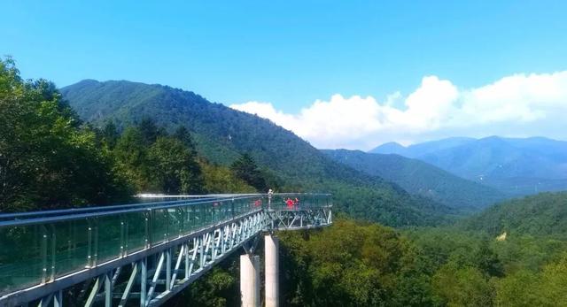 手头的事放一放，我要去雅安过五一了