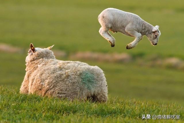 与白羊恋爱必懂，热情似火也需技巧，你掌握了吗？