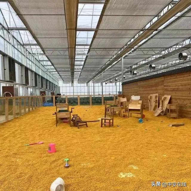 12月6日“乡”约宿松，这座3000亩文旅小镇藏着诗与远方