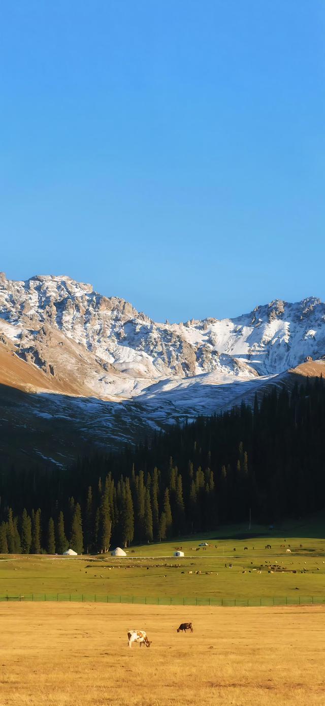 手机壁纸|治愈你的是风景，自然美景