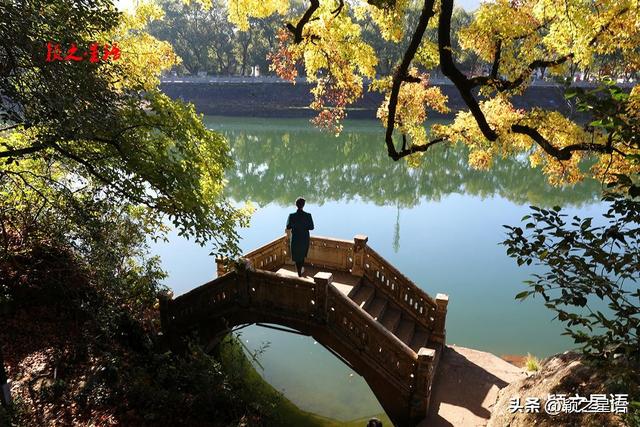 秋色天花板，枫香树下美龄桥