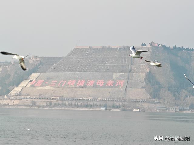 水与墨的交界：天鹅之城，三门峡六记