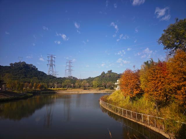 从丽康路穿荔园溪谷至西丽湖绿道骑行随拍