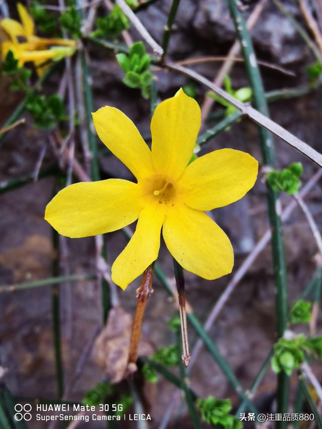 据我实际体验，冬天不宜自驾游