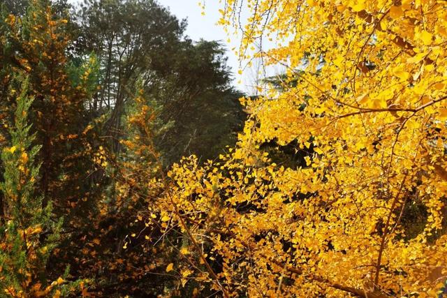 在纺织公园，遇见你的冬日小确幸~