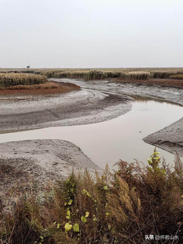 2025辽宁赏秋之旅日记(6)——到辽河口中国最北海岸线看日出 观鸟