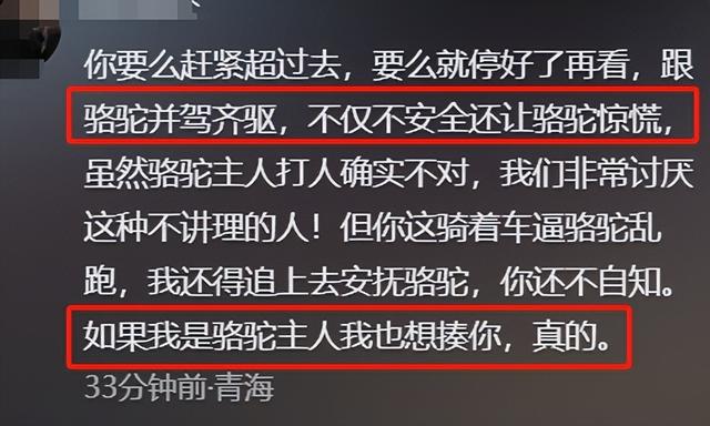 摩旅青海被牧民打头后续！7峰骆驼丢失，当地人发声 骑手有错在先