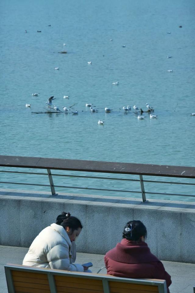 走，成都出发看“海鸥”！24分钟拢德阳，动车5分钟一趟说走就走