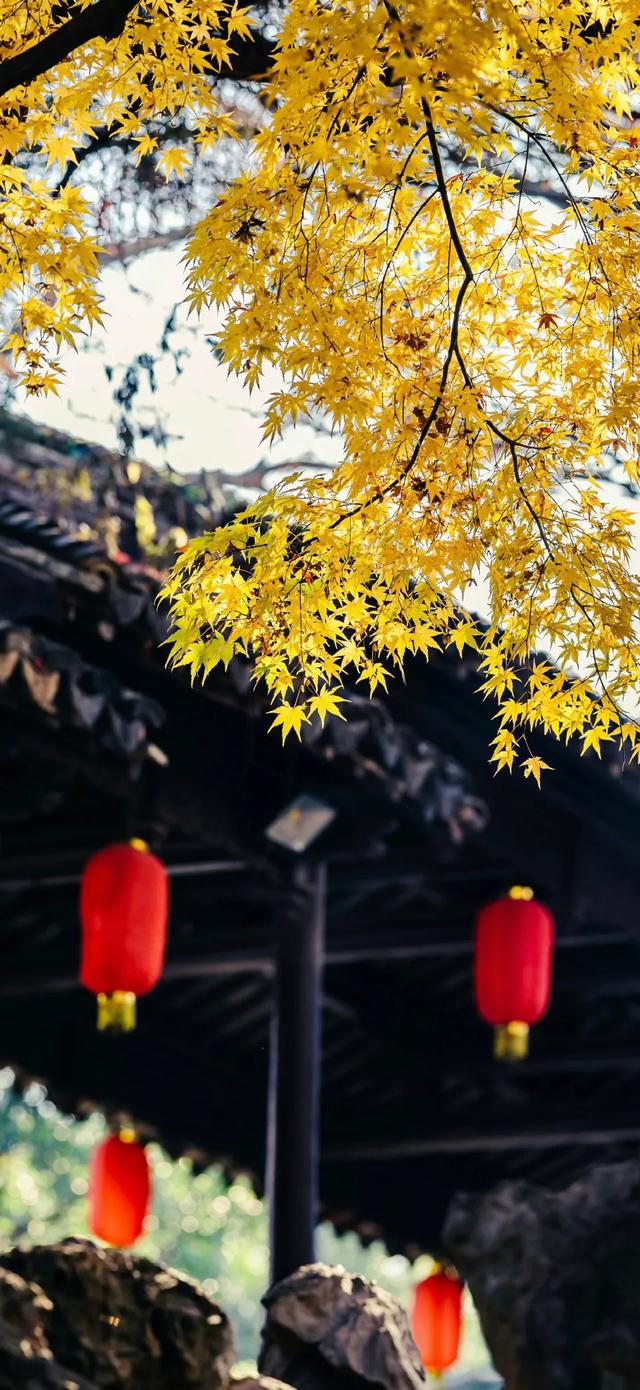 壁纸｜连天气都是瞬息万变的， 谁又能保证身边的一切不会变