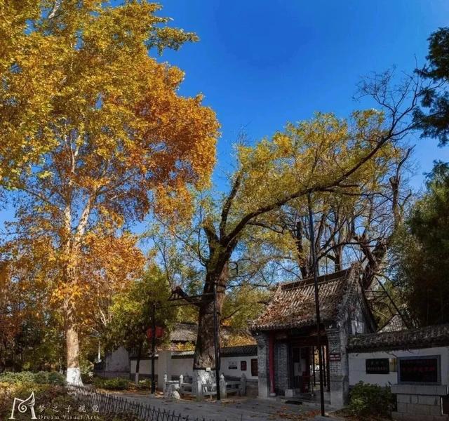 青州这些景致，藏着最动人的温柔