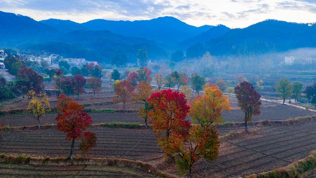大别山中徐凤冲