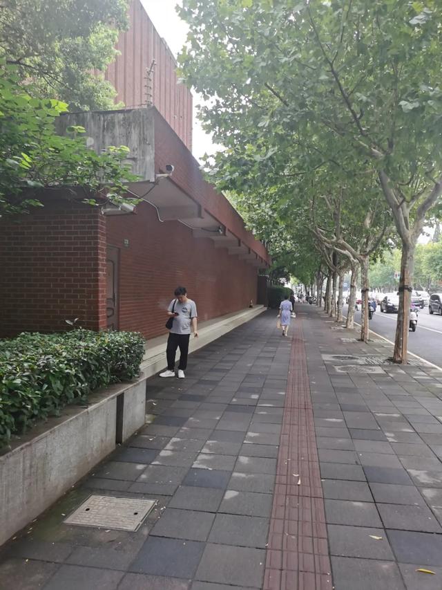 典藏上海，向新而生！上海市城市建设档案馆打开围墙，与市民共享单位附属绿地空间
