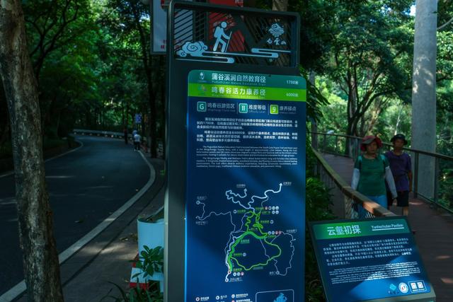 医护家庭的 “充电之旅”！看白云山把森林康养玩出新花样