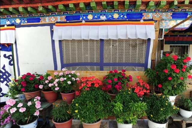 8月，拉萨邀你赴一场治愈之旅