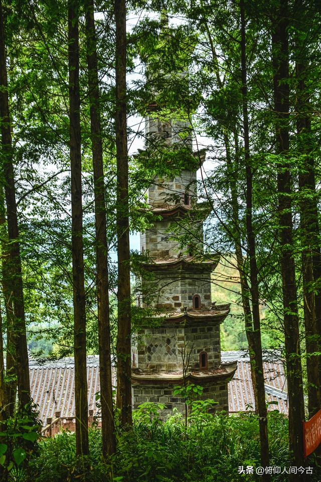 雅安被遗忘的省保，藏着深山中的千年守望