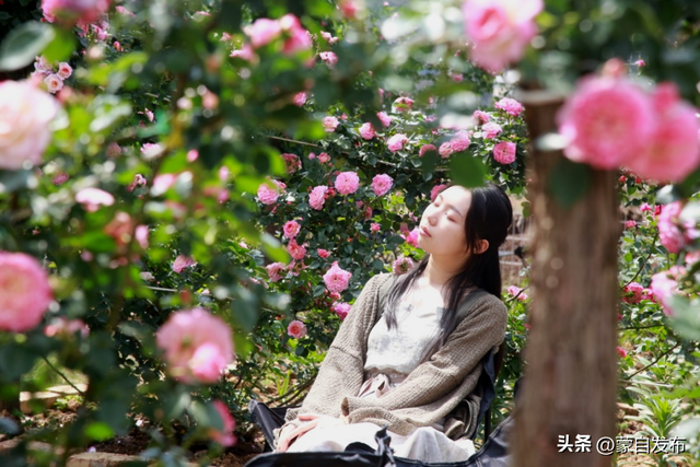 今天18:00，跟着央视一套游红河，《花开中国》同款红河打卡地攻略→