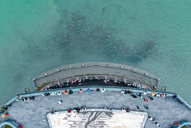 宜宾冠英古街秋假遛娃指南：非遗扎染、燃面研学、江边喂鱼，一站式玩透！