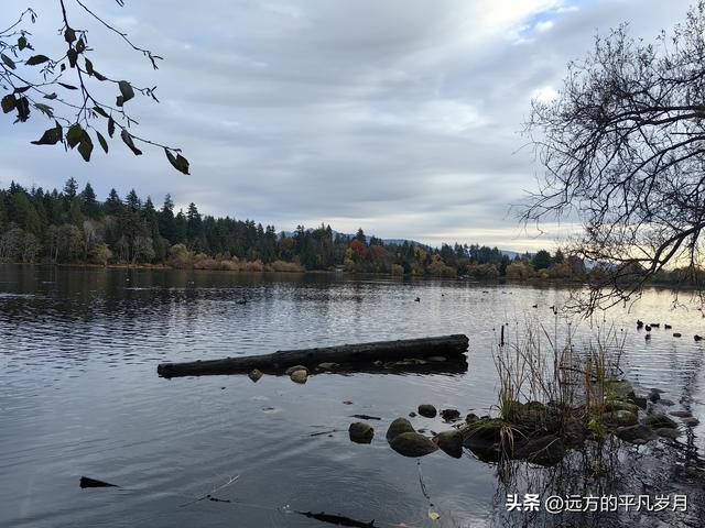 温哥华游记（一）