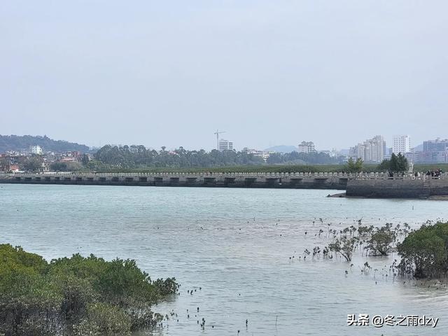 悠游泉州⑦:海内第一桥——洛阳桥(2025.2.8)