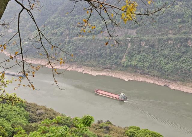 重庆铁山坪森林公园轻徒步路线