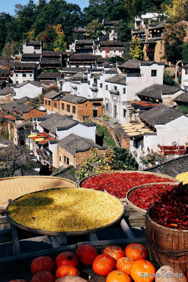 秋色浓、叠彩韵、檐下晒秋图，这可能是国内最美的秋天