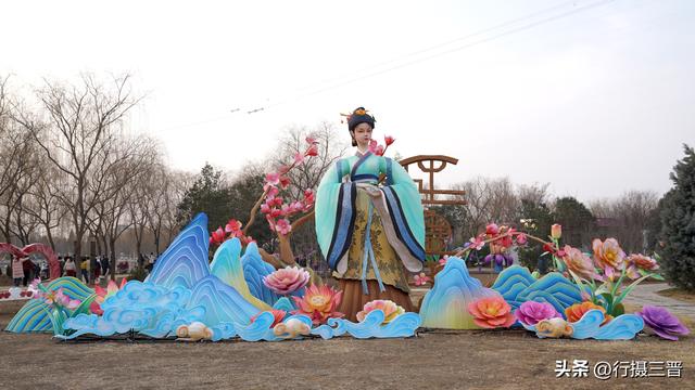 舜帝花海——邂逅一场别具一格的视觉盛宴