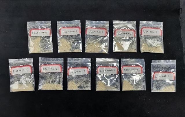 为何每次神舟飞天都要带种子？背后是2000亿市场，太空育种很厉害