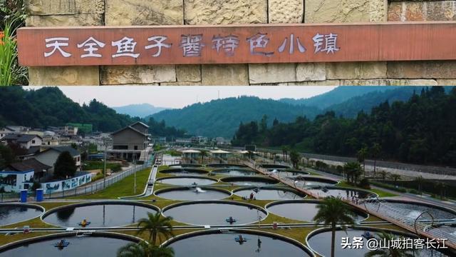 四川优雅的城市，极致美景和特色美食很多，有“天府之肺”的美誉