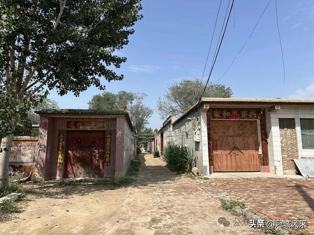 冠县乡韵·定远寨镇前杏园村
