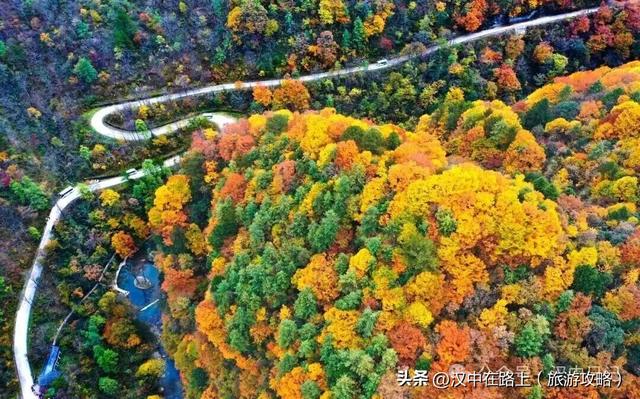 超期待！汉中黎坪红叶季即将开启，剧透一波 “红” 到心巴的美景！