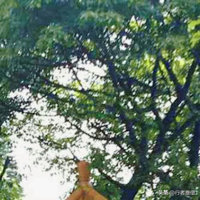 《行者随谈》17.