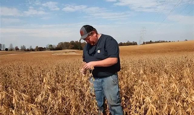 有史最大规模！110亿军备抵达台岛，不足24小时，13万吨订单撤销