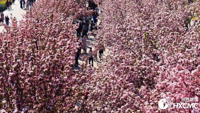 春日河西，这条大道人从众！