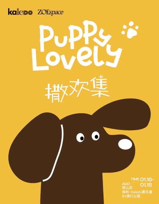 市集、萌宠、免费茶咖...粤海街道海珠社区生活节邀你解锁N种潮趣生活