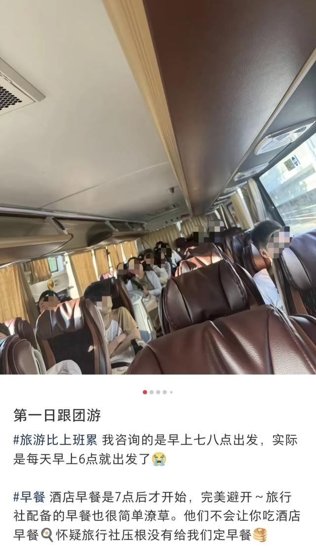 刚从旅游团逃出来,真想骂人