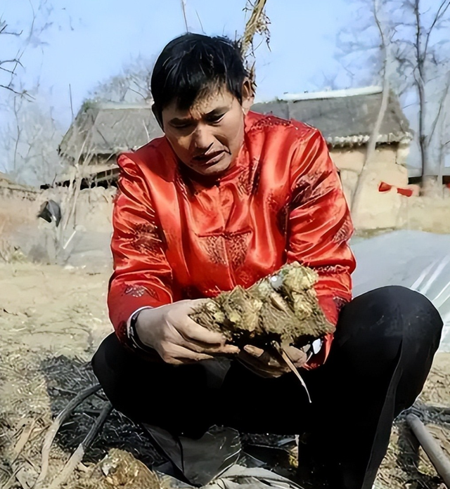 呆呆妹做梦没想到，杀猪宴收官仅1天， 一家人就走上大衣哥的老路