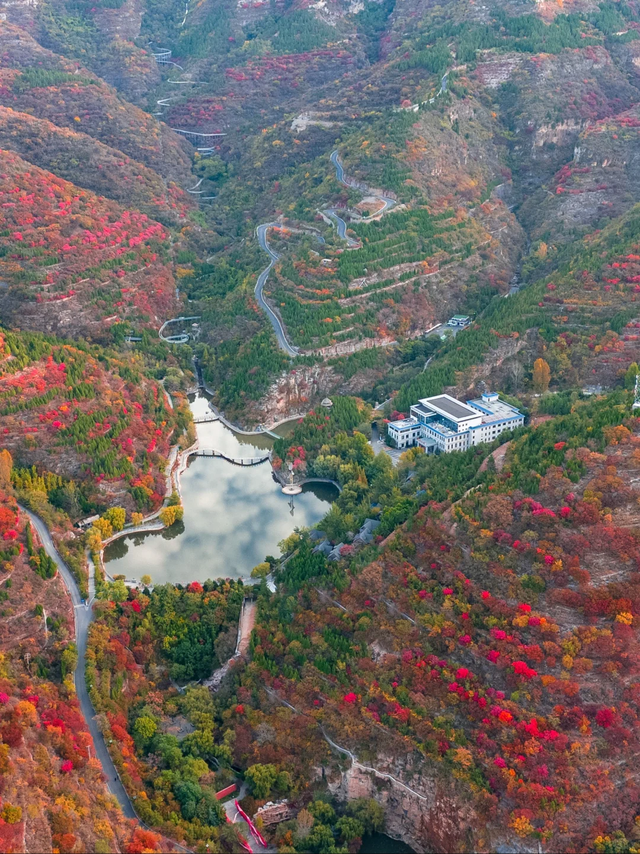 听说，山东的山最近变得「毛茸茸」？