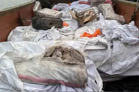 重约5吨！广州海关查获一批涉嫌走私的猪肚、牛百叶等冻品，部分已变质图片