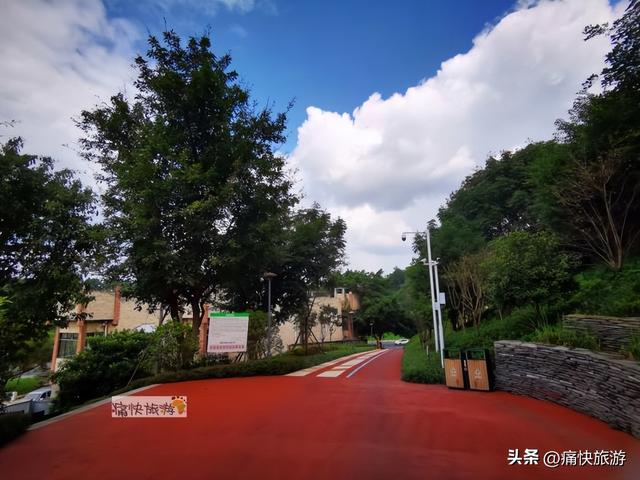 隐藏在自贡城区内的“一线天”