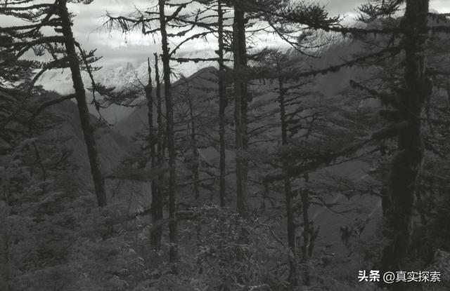 16 寻找大瀑布（无名营地—瀑布a营地B）雨多云晴（日记版）雅漂