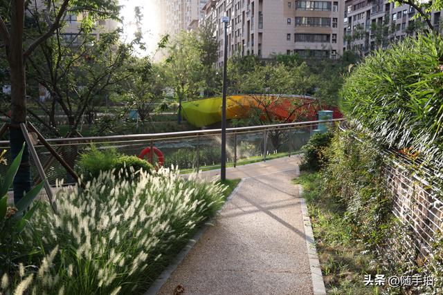 实拍江苏苏州昆山花桥梅浦河海绵城市公园，“会呼吸”的绿地