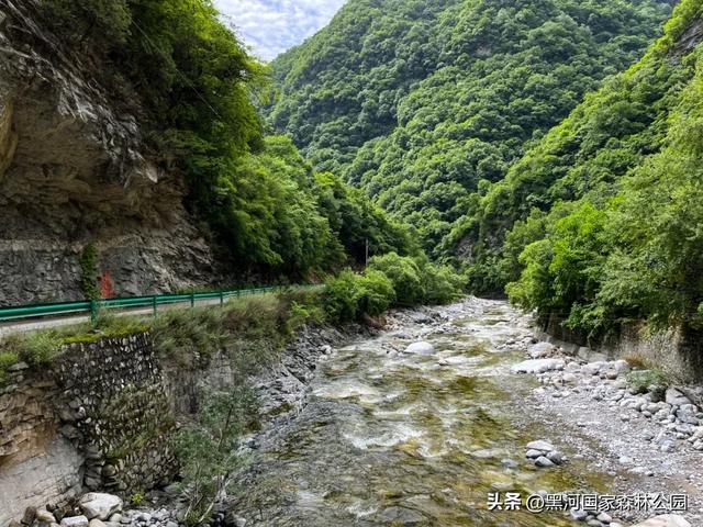 这个夏天,凉爽黑河等风也等你