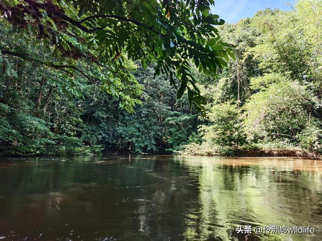 马来西亚(29)砂拉越州③姆鲁山清水洞·风洞