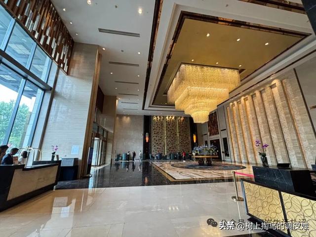 45 岁后家庭出游，星级酒店为何成首选？